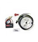 ROTOR ( PREM 19 ) INTERIOR MINARELLI HORIZONTAL ( DESDE 2002 ) MVT PREMIUM CON LUZ R: 180129