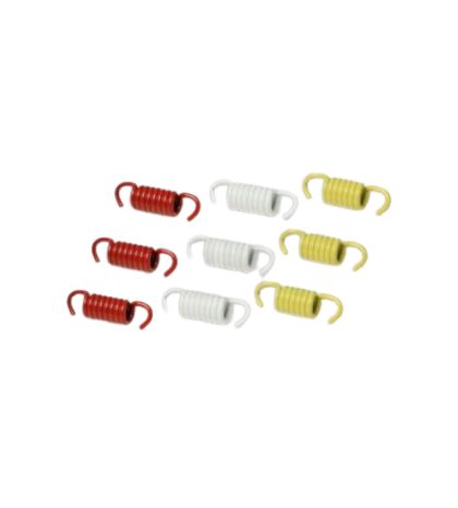 MUELLES DE EMBRAGUE APRILIA LEONARDO 125/150 C.C. - MALOSSI - R: 2911326