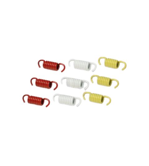 MUELLES DE EMBRAGUE APRILIA LEONARDO 125/150 C.C. - MALOSSI - R: 2911326