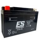 BATERIA ENERGYSAFE EST12-10-ZT GEL R: 0681102G