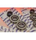 KIT RODAMIENTOS Y RETENES CIGUEÑAL PEUGEOT BUXY / SPEEDAKE / TREKKER 50 SAMARIN R: KI PE 506
