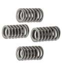 KIT MUELLES EMBRAGUE AM 6, TZR 50 C.C. - MALOSSI - R: 2912235