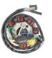 STATOR GY6 125CC 4T 152 QMI SCOOTER - TNT - R: 970664P