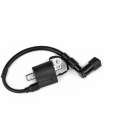 BOBINA DE ALTA MOTOR GY6 50 2T R: 971060R