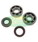 KIT DE RODAMIENTOS RACING CIGUEÑAL AM 6 PARA C/LARGA 44 TOP PERFORMANCES R: 9924750