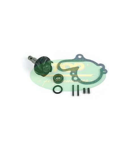 KIT REPARACIÓN BOMBA AGUA AM 6 -TOP PERFOMARCES - R: AA00789