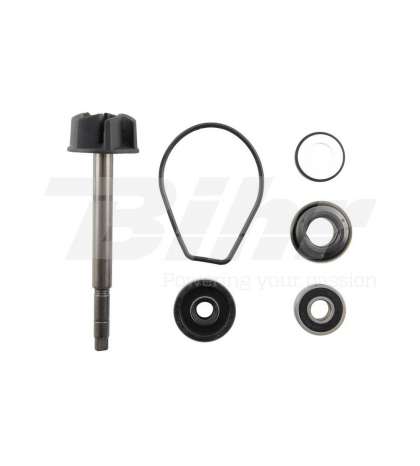 KIT REPARACIÓN BOMBA AGUA YAMAHA YP MAJESTY 40 04/08 - TECNIUM - R: 8004