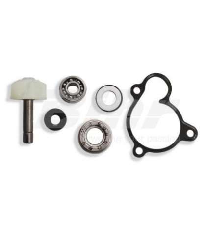 KIT REPARACIÓN BOMBA AGUA X-CITY 250 07 - TECNIUM - R: 8003