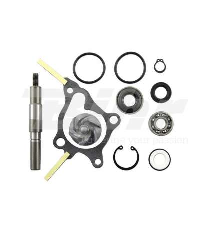 KIT REPARACIÓN BOMBA AGUA FES FORESIGHT 250 - TECNIUM - R: 11640