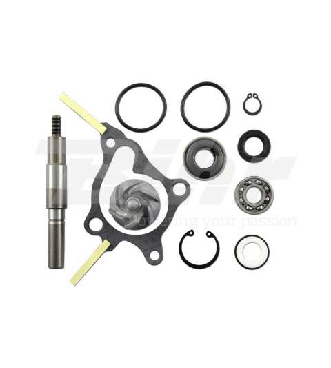 KIT REPARACIÓN BOMBA AGUA FES FORESIGHT 250 - TECNIUM - R: 11640