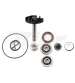 KIT REPARACIÓN BOMBA AGUA PIAGGIO BEVERLY 250 04/05 - TECNIUM - R: 37625