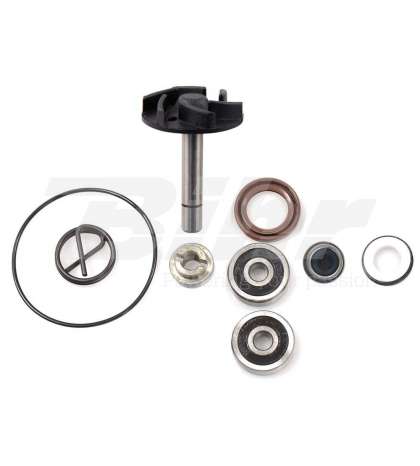 KIT REPARACIÓN BOMBA AGUA PIAGGIO BEVERLY 250 04/05 - TECNIUM - R: 37625