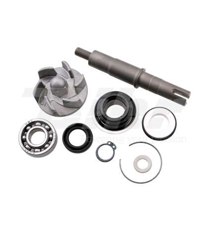KIT REPARACIÓN BOMBA AGUA DAELIM 2012 - TECNIUM - R: 14723
