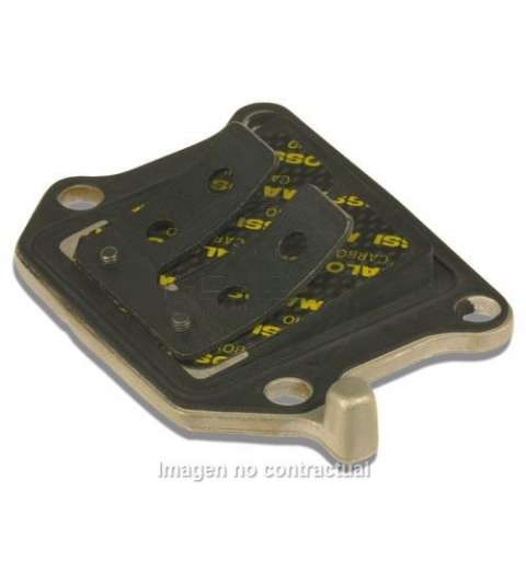 CAJA DE LÁMINAS DE CARBONO APRILIA SR 50, MOTOR VERTICAL - MALOSSI - R: 277441C0