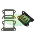 CAJA DE LAMINAS PEUGEOT SPEEDFIGHT 50 / HONDA SFX 50 / KYMCO KB 50 / TOP PERFORMANCES R: 9912550