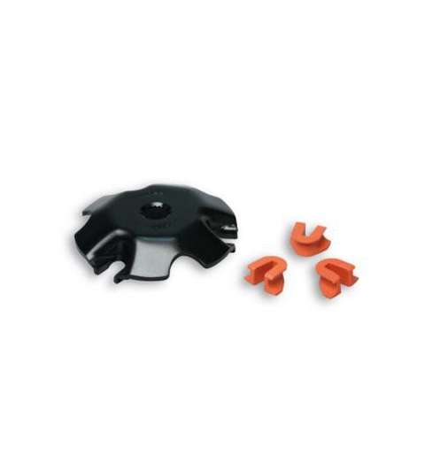 TAPA RAMPAS VARIADOR MULTIVAR 5112800 - MALOSSI - R: 2513056B