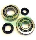 KIT RODAMIENTOS Y RETENES CIGUEÑAL KYMCO DINK 50 / SUPER 9 / VIVALITY 50 TOP PERFORMANCES R: KK01013