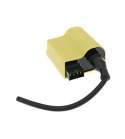 BOBINA DE ALTA / CDI SUZUKI KATANA 50 / HONDA SKY 50 R: 04173420 / IP32330