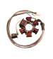 STATOR 6 POLOS 12V 90W (MOTOR PIAGGIO 50 2T) NRG,ZIP R: 04293499