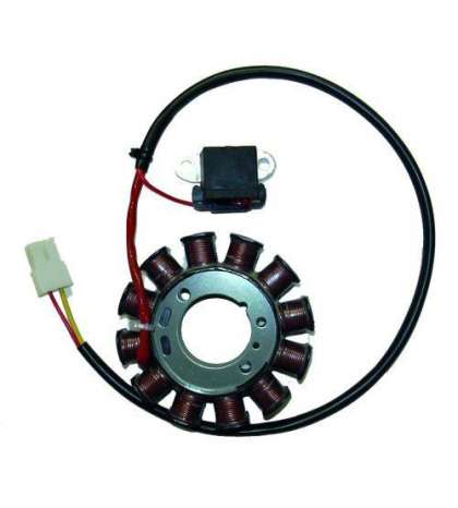 STATOR 12 POLOS 120W SUZUKI KATANA DUCATI R: 04141412