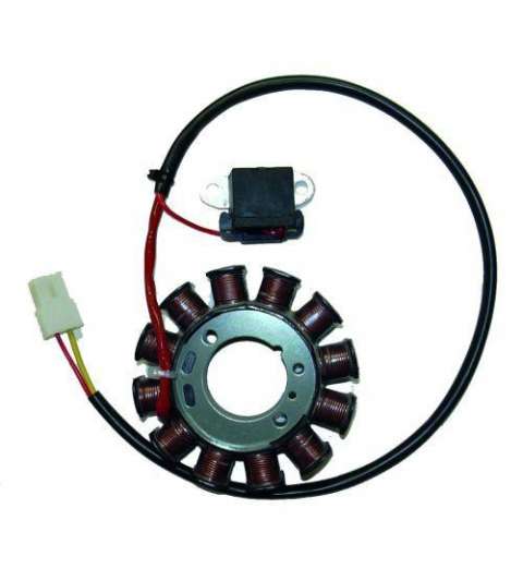 STATOR 12 POLOS 120W SUZUKI KATANA DUCATI R: 04141412