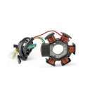 STATOR AM 6 / DERBI SENDA / BETA RR 50 ORIGINAL DUCATI R: 631968490
