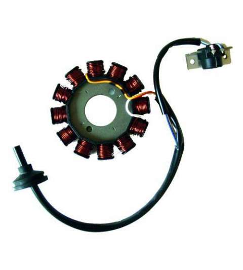 STATOR 12 POLOS (MOTOR YAMAHA 50 2T EURO 2) YAMAHA AEROX 13/16