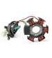 STATOR MINARELLI AM6 RIEJU/BETA DERBI SENDA - TNT - R: 180310C