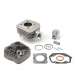 EQUIPO MOTOR PEUGEOT LUDIX AIRE 49,2CC D. 40 - AIRSAL - R: 01025040