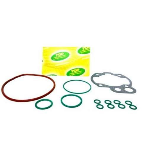 KIT DE JUNTAS CILINDRO AM 6 CARRERA 44 R: 9924160