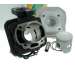 EQUIPO MOTOR PEUGEOT BUXY, SPEEDAKE D. 47 - TOP PERFORMANCES - R:9908660