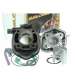 EQUIPO MOTOR APRILIA SR 50, YAMAHA AEROX LC D. 47 - MALOSSI - R: 318284