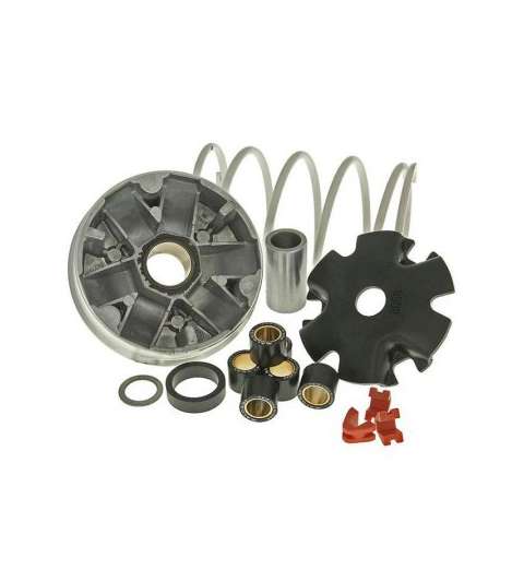VARIADOR KYMCO DINK 50 4T - MALOSSI - R: 5113790