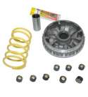 VARIADOR MULTIVAR YAMAHA X MAX 250 05/16 MALOSSI R: 5111225