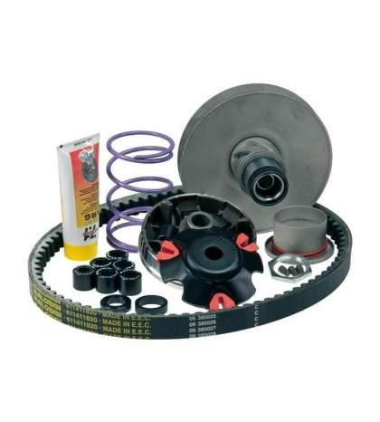 VARIADOR OVER RANGE PIAGGIO NRG 50, GILERA RUNNER 50 - MALOSSI - R: 6114219