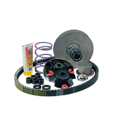 VARIADOR OVER RANGE PIAGGIO NRG 50, GILERA RUNNER 50 - MALOSSI - R: 6114219
