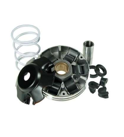 VARIADOR PIAGGIO NRG MC3 50, GILERA RUNNER - MALOSSI - R: 519019