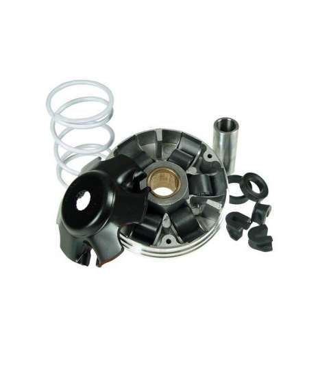 VARIADOR PIAGGIO NRG MC3 50, GILERA RUNNER - MALOSSI - R: 519019