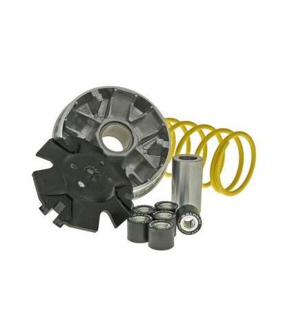 VARIADOR YAMAHA X-MAX 125 - MALOSSI - R: 5113134