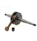 CIGUEÑAL DERBI VARIANT STAR 50 TOP RACING R: 6030005