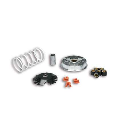 VARIADOR MULTIVAR HONDA LEAD 110 MALOSSI R: 5117717