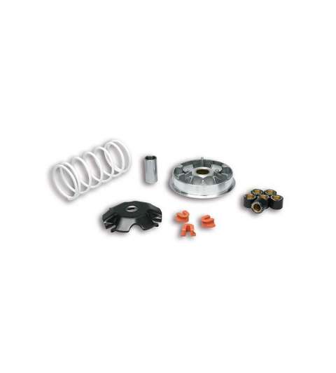 VARIADOR MULTIVAR HONDA LEAD 110 MALOSSI R: 5117717