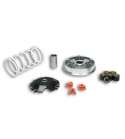 VARIADOR MULTIVAR HONDA LEAD 110 08/11 MALOSSI R: 5117717