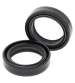 KIT RETENES HORQUILLA 41 X 53 X 8/10.5 - ALL BALLS - R: 17272