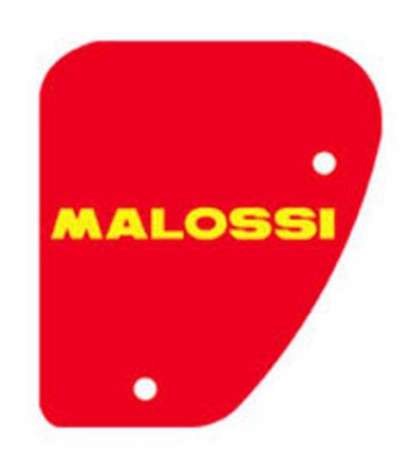 FILTRO DE AIRE PEUGEOT BUXI, ELYSEO, MALOSSI R: 1411418