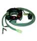 STATOR 6 POLOS 12V 90W PIAGGIO 50 2T - KOKUSAN - R: 04128030