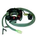 STATOR 6 POLOS 12V 90W PIAGGIO 50 2T KOKUSAN R: 04128030