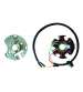 STATOR 6 POLOS 12V 85 W DERBI/PIAGGIO 50 6 MARCHAS CON ARRANQUE ELÉCTRICO - KOKUSAN - R: 04168036