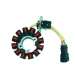 STATOR 12 POLOS 12V 165W APRILIA PURE JET 50, GILERA RUNNER PURE JET 50 - SGR - R: 04163092