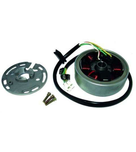 VOLANTE MAGNETICO DERBI SENDA ORIGINAL DUCATI R: 431081050